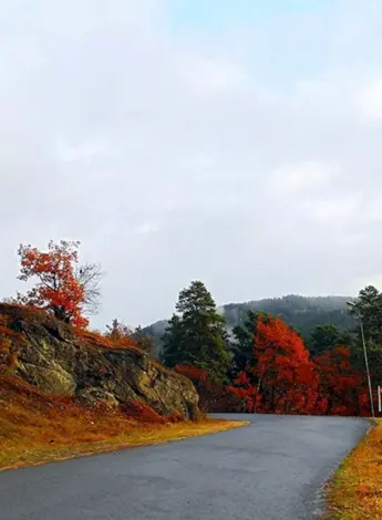 Осень в горах Грузии