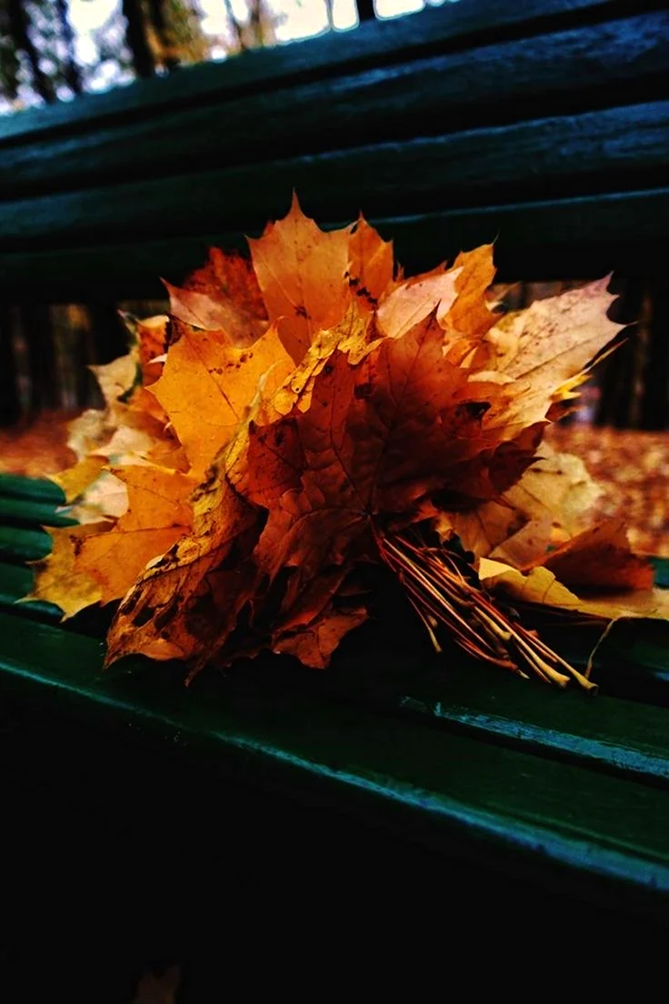 Осенние букетик. ТЗ листьеа