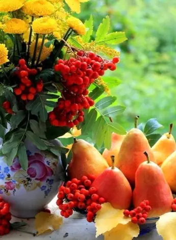 Осенние цветы и фрукты