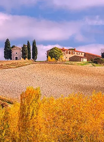 Осенние виноградники Умбрия Тоскана