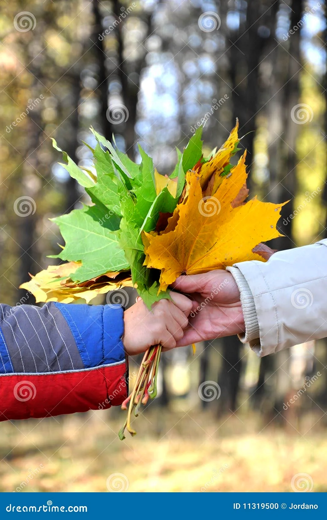 Осенний букетик в в руке