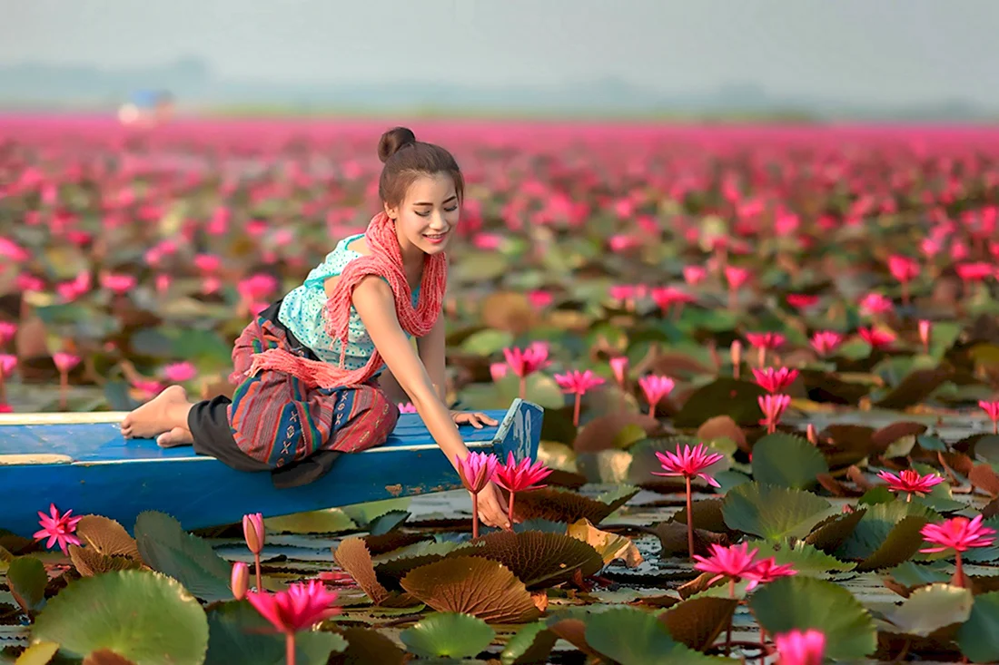 Озеро лотосов Вьетнам