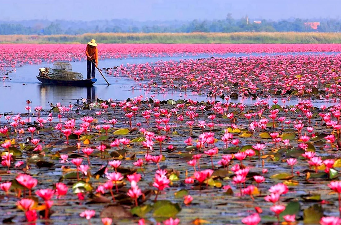 Озеро Нонг Хан