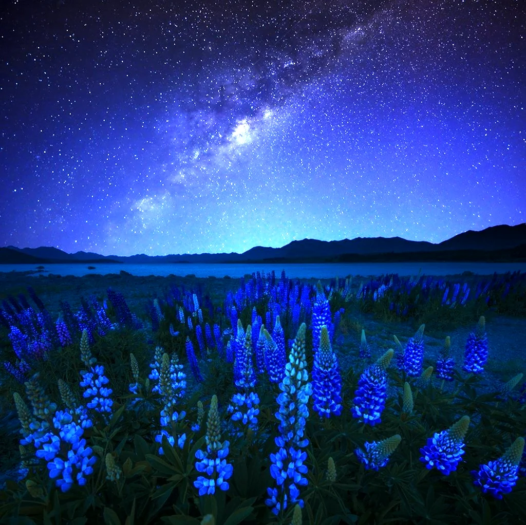 Озеро Текапо новая Зеландия ночное небо