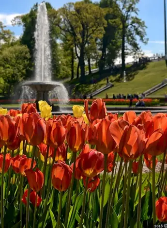 Петергоф Весна