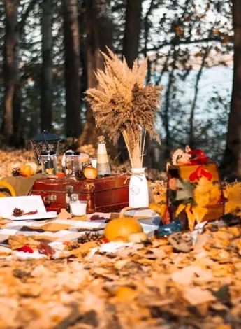Пикник на природе осень