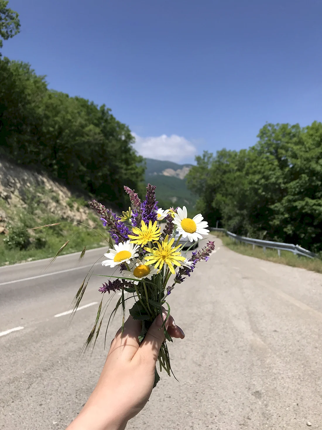 Полевые цветы Грузии