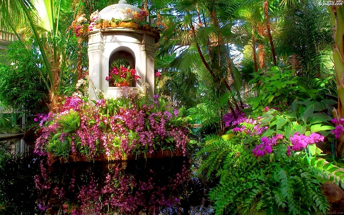 Райский сад Эдем Дагомыс