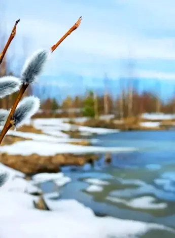 Ранняя Весна