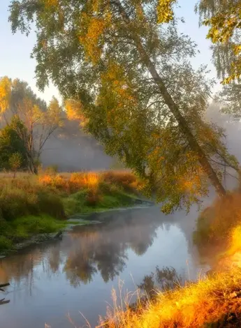 Река Нерская осенью Московская область