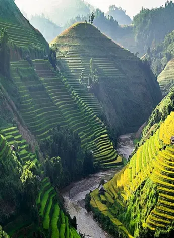 Рисовые террасы Вьетнам