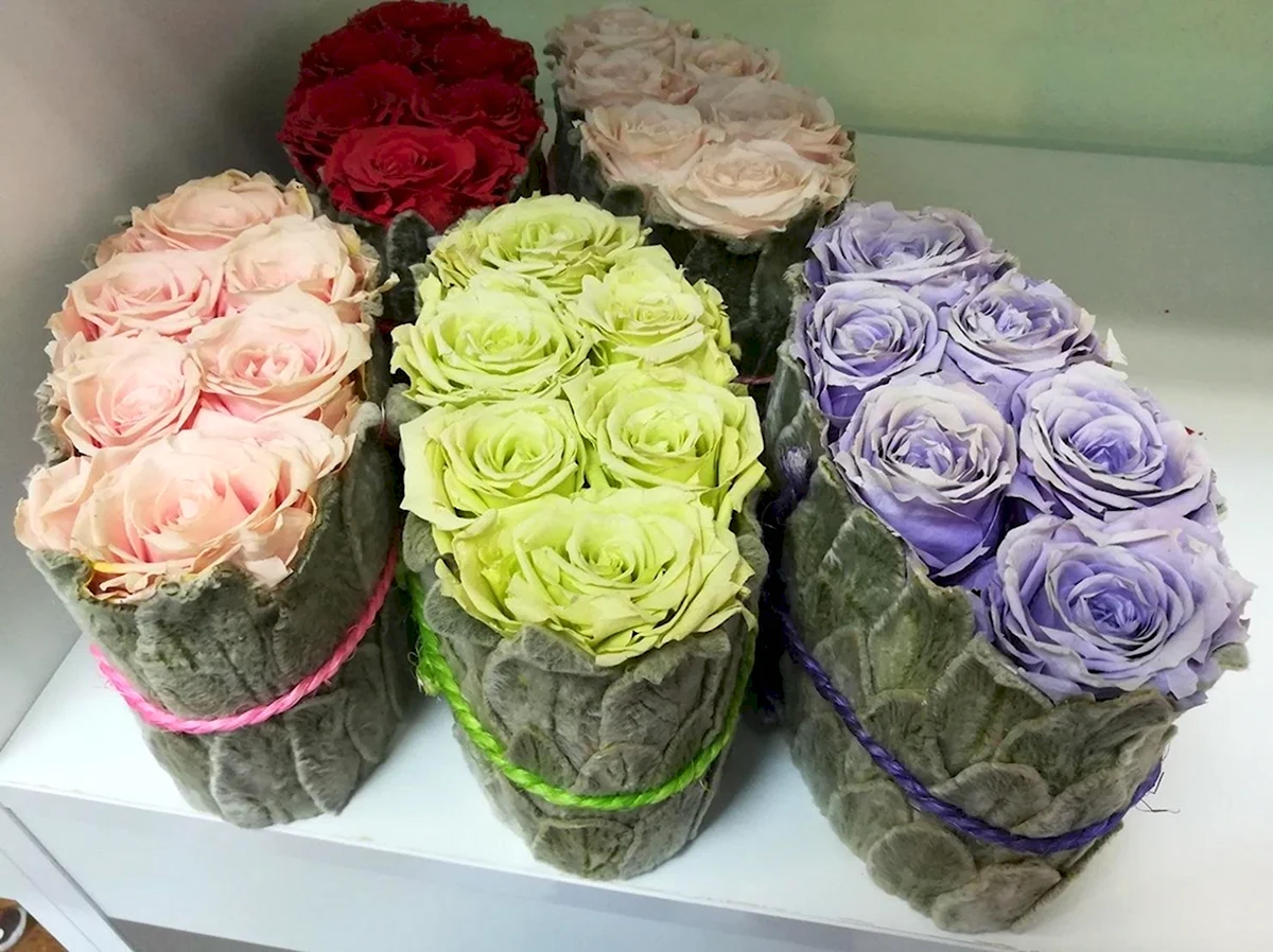 Rose Oasis стабилизированные цветы