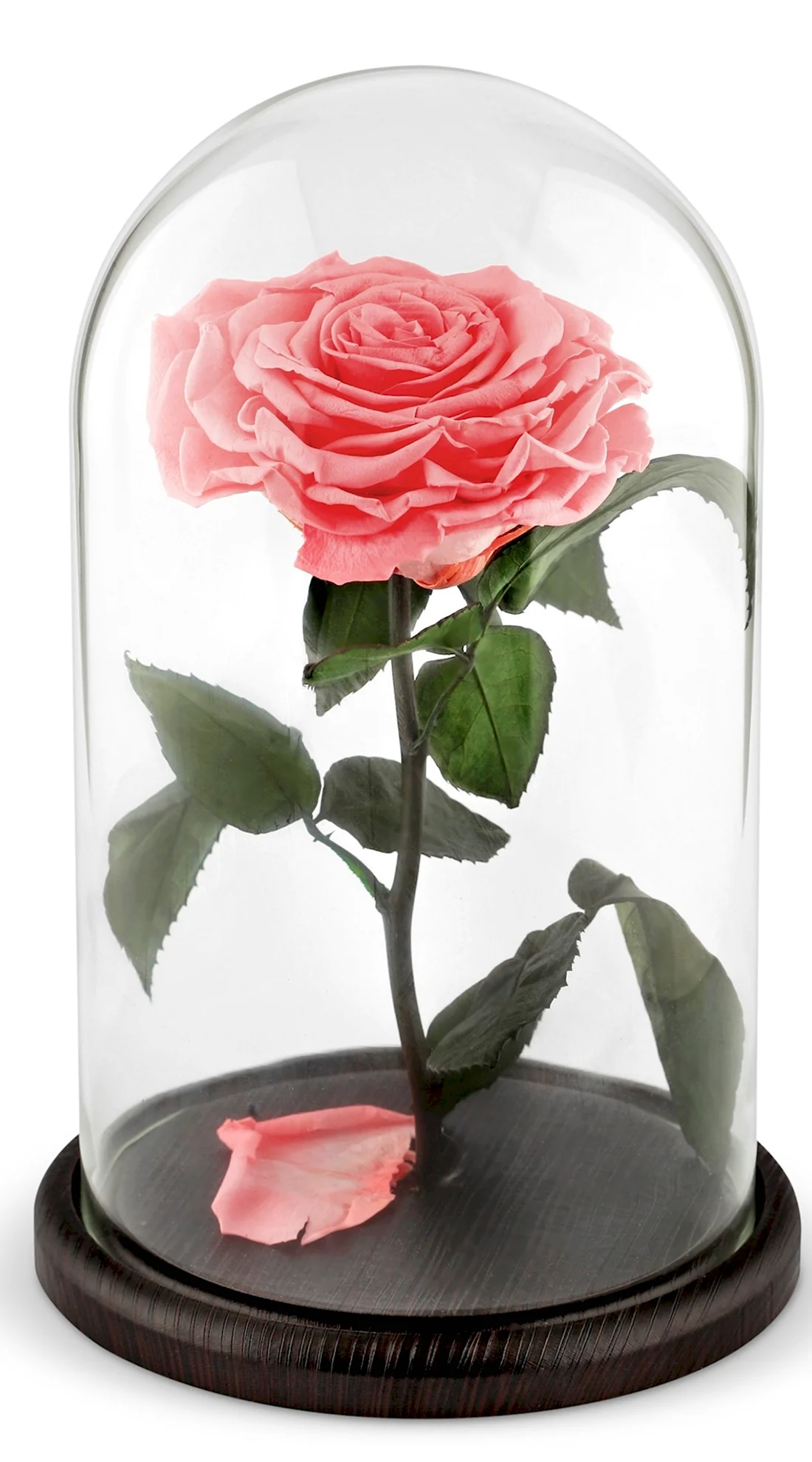 Роза в стеклянной колбе