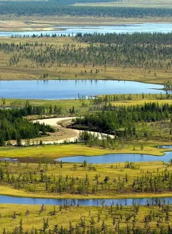Таймырский заповедник в тундре