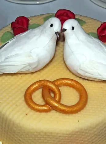 Торт с голубями
