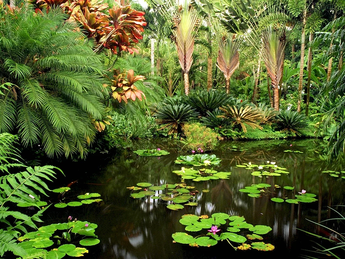 Тропический Ботанический сад Гавайи