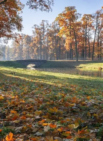Царскосельский лицей осенний пейзаж