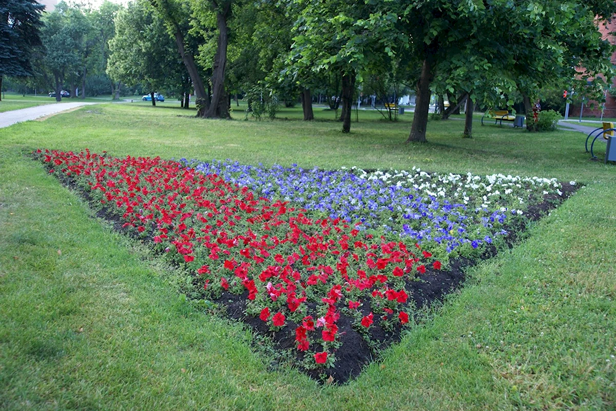 Цветники парк Борисовские пруды