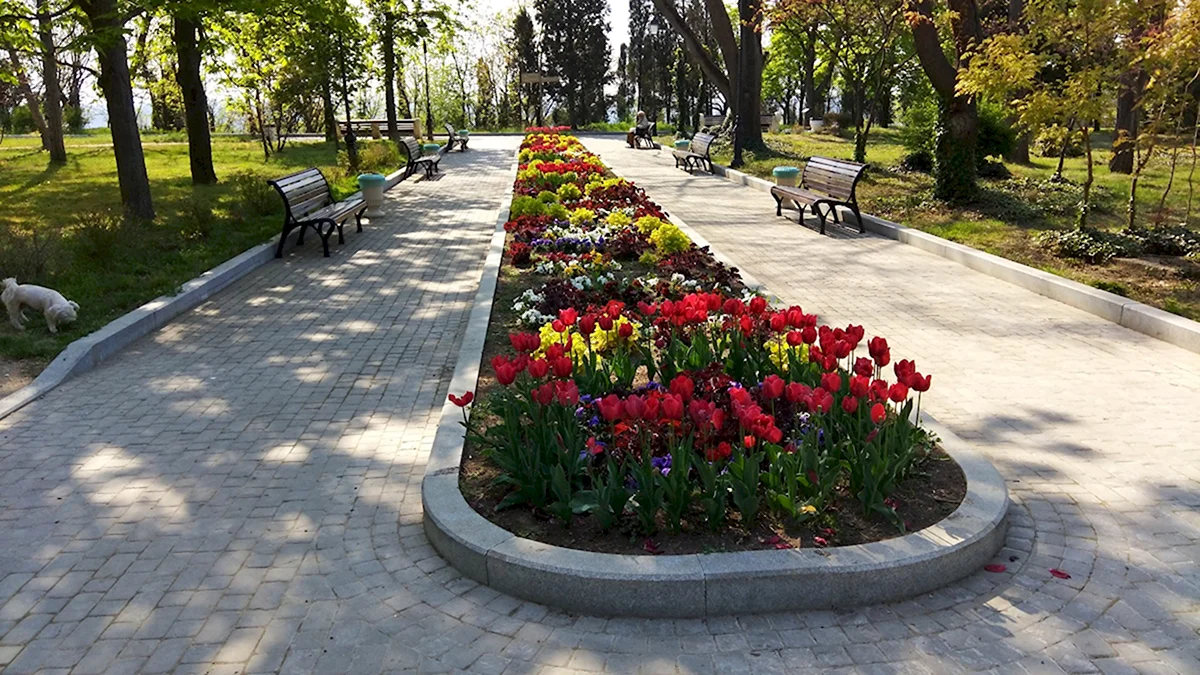 Цветники в Севастополе