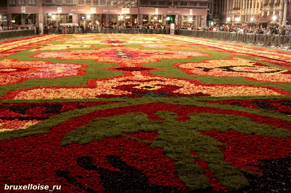 Цветочные ковры из живых цветов