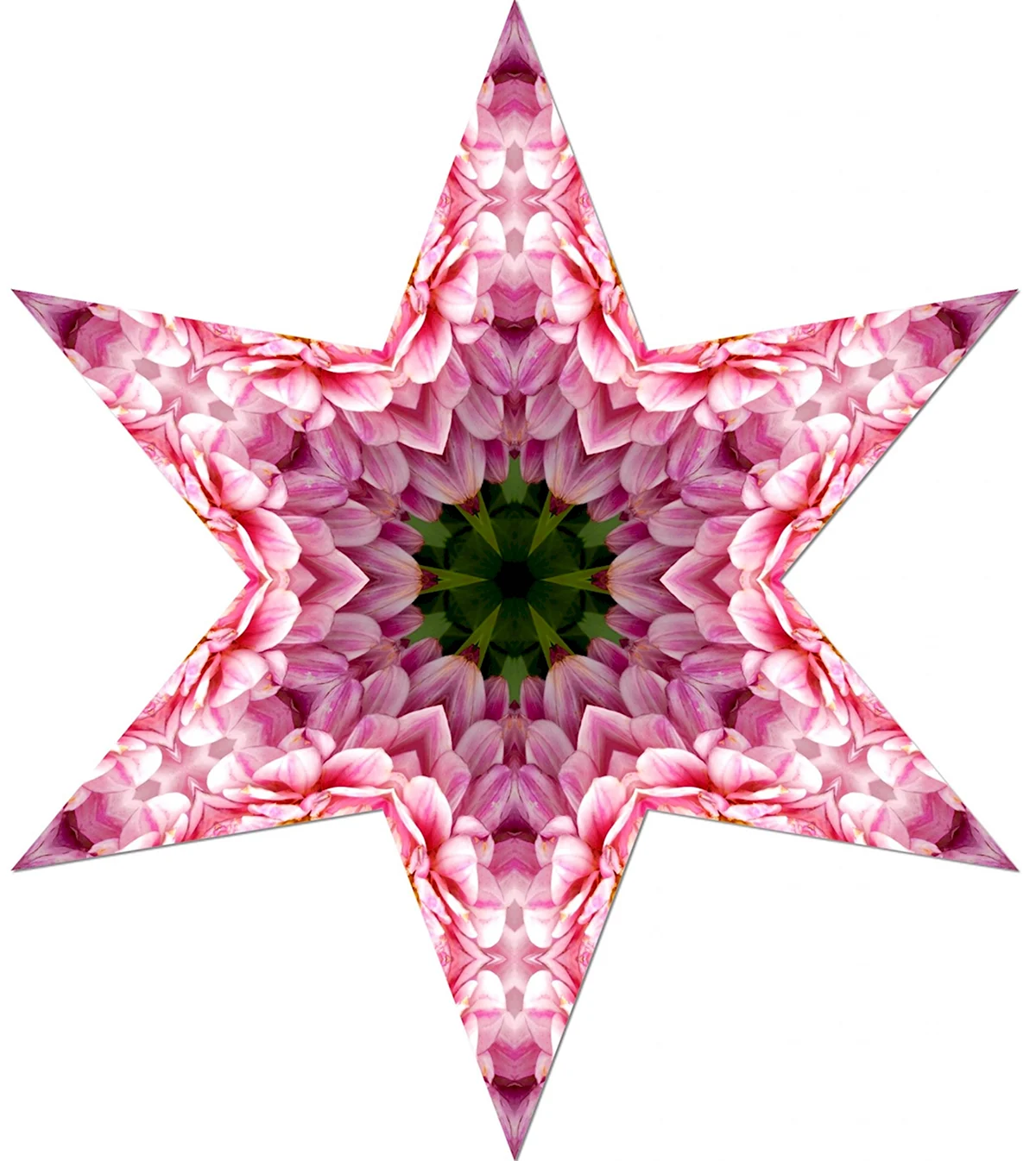 Цветок звезда