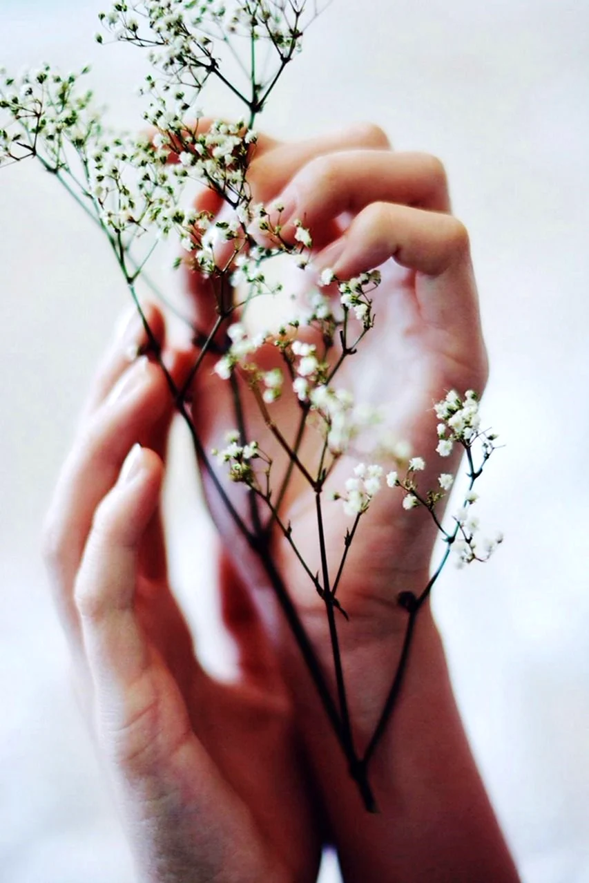 Цветы и руки Эстетика