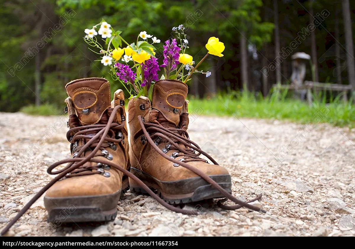 Цветы в ботинках в горах