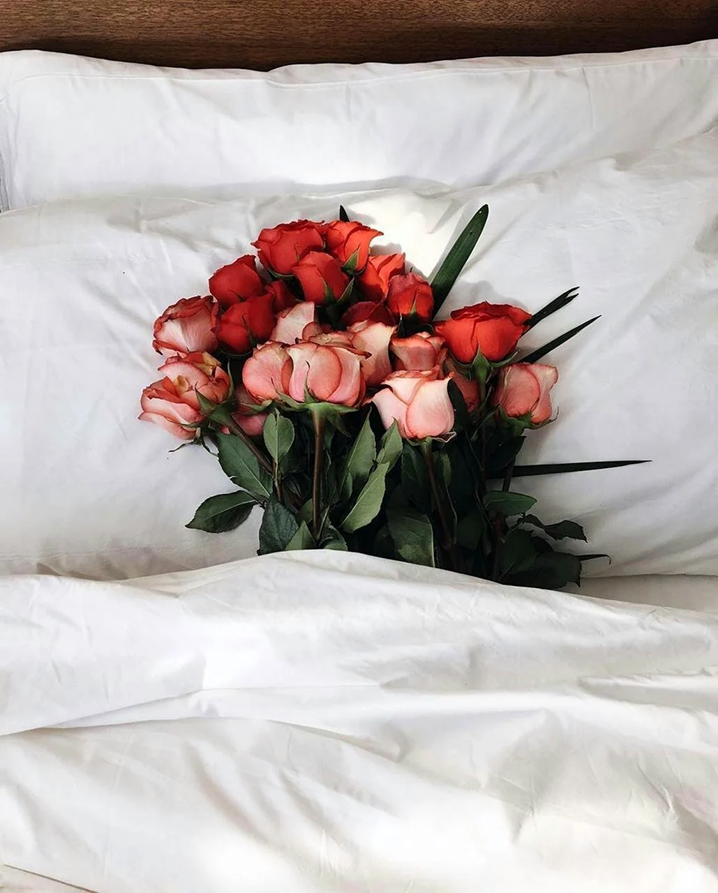 Цветы в постель
