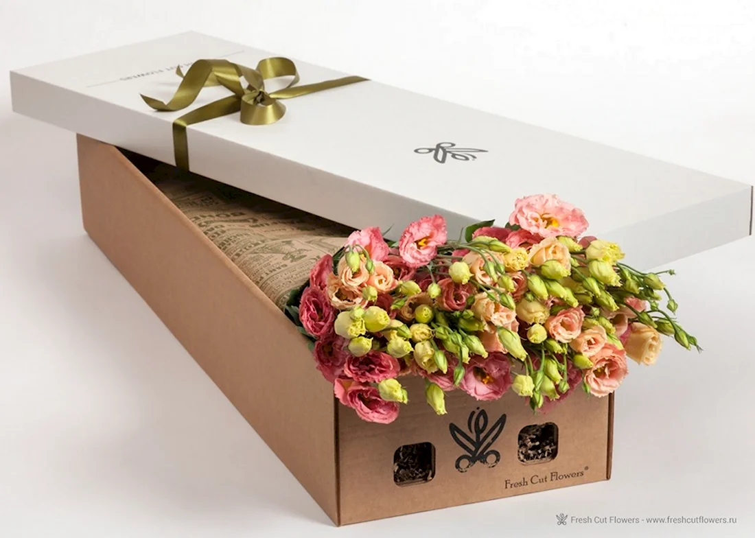 Упаковка цветов в коробке