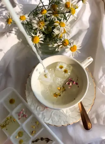 Утреннее Вдохновение