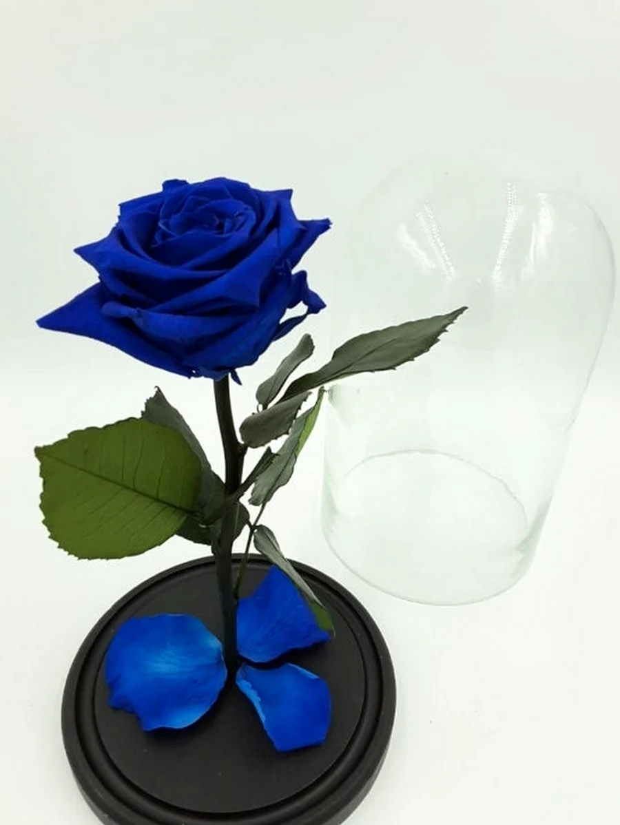 Вечная роза синяя