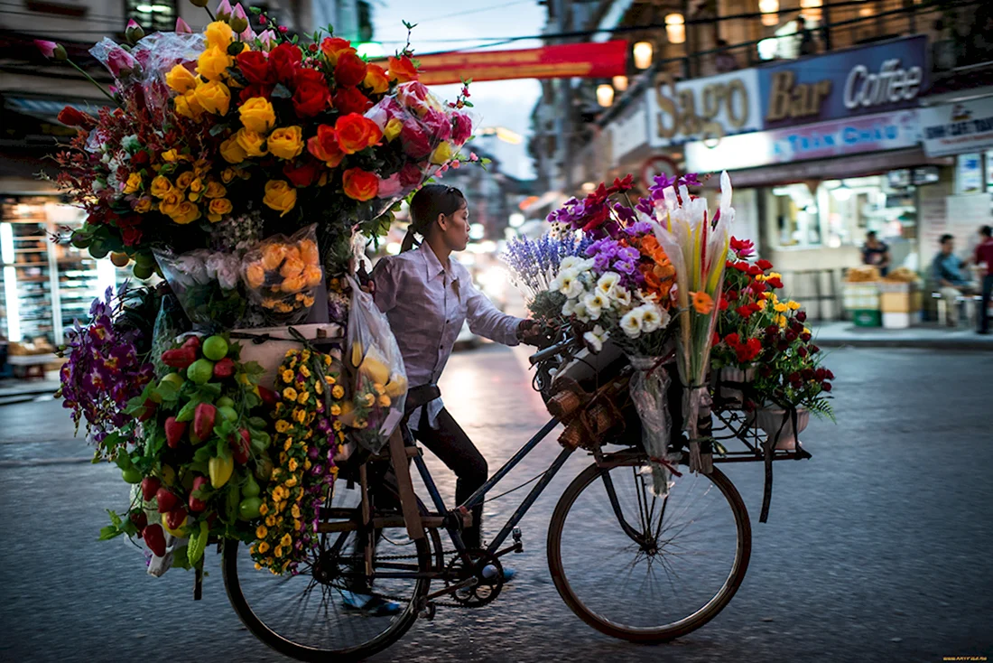 Велосипед цветы