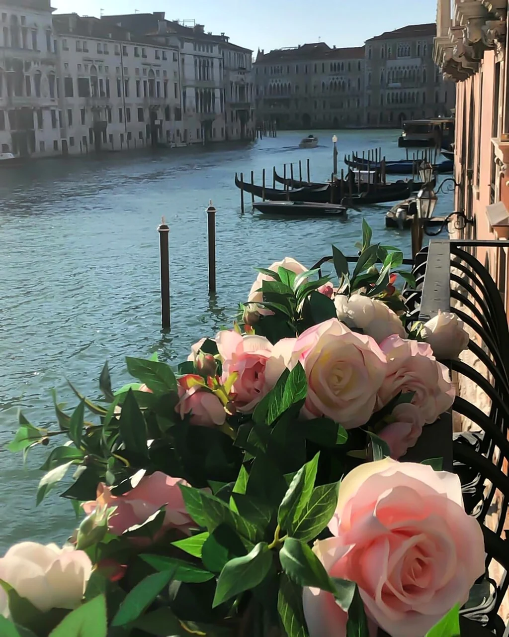 Венеция цветы