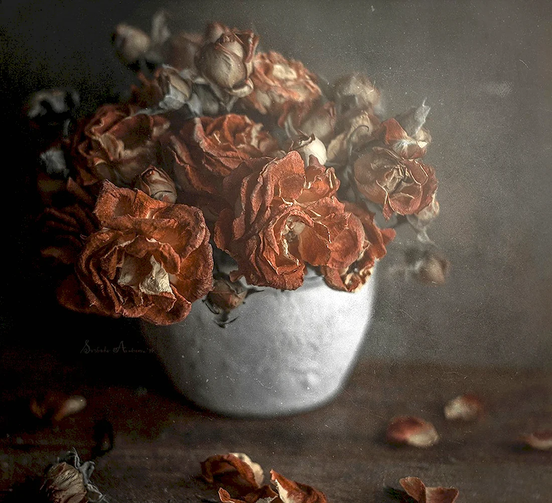 Засохшие цветы в вазе