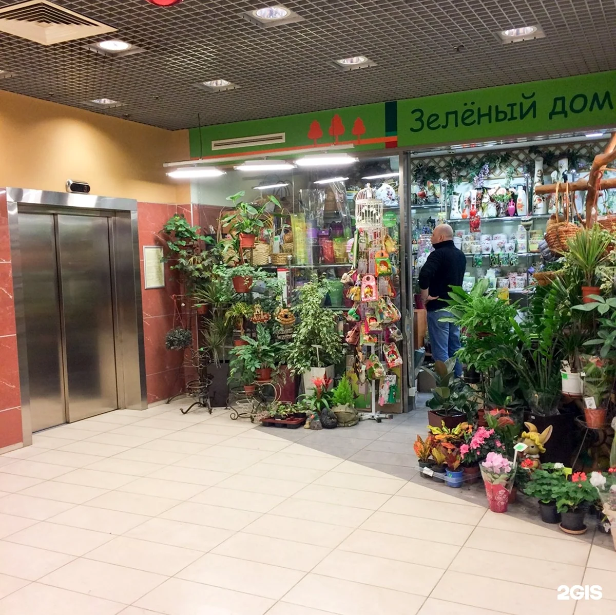Зеленый магазин