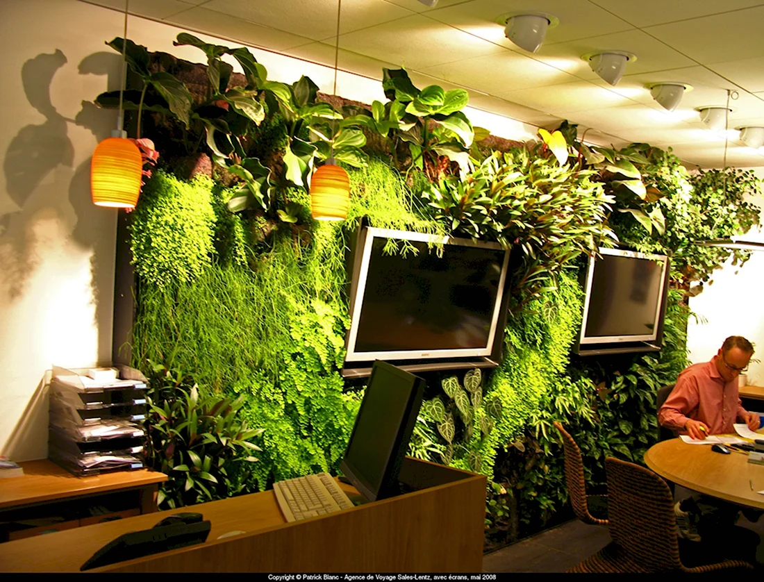 Зеленый уголок в офисе