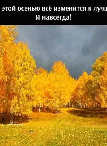 Золотой