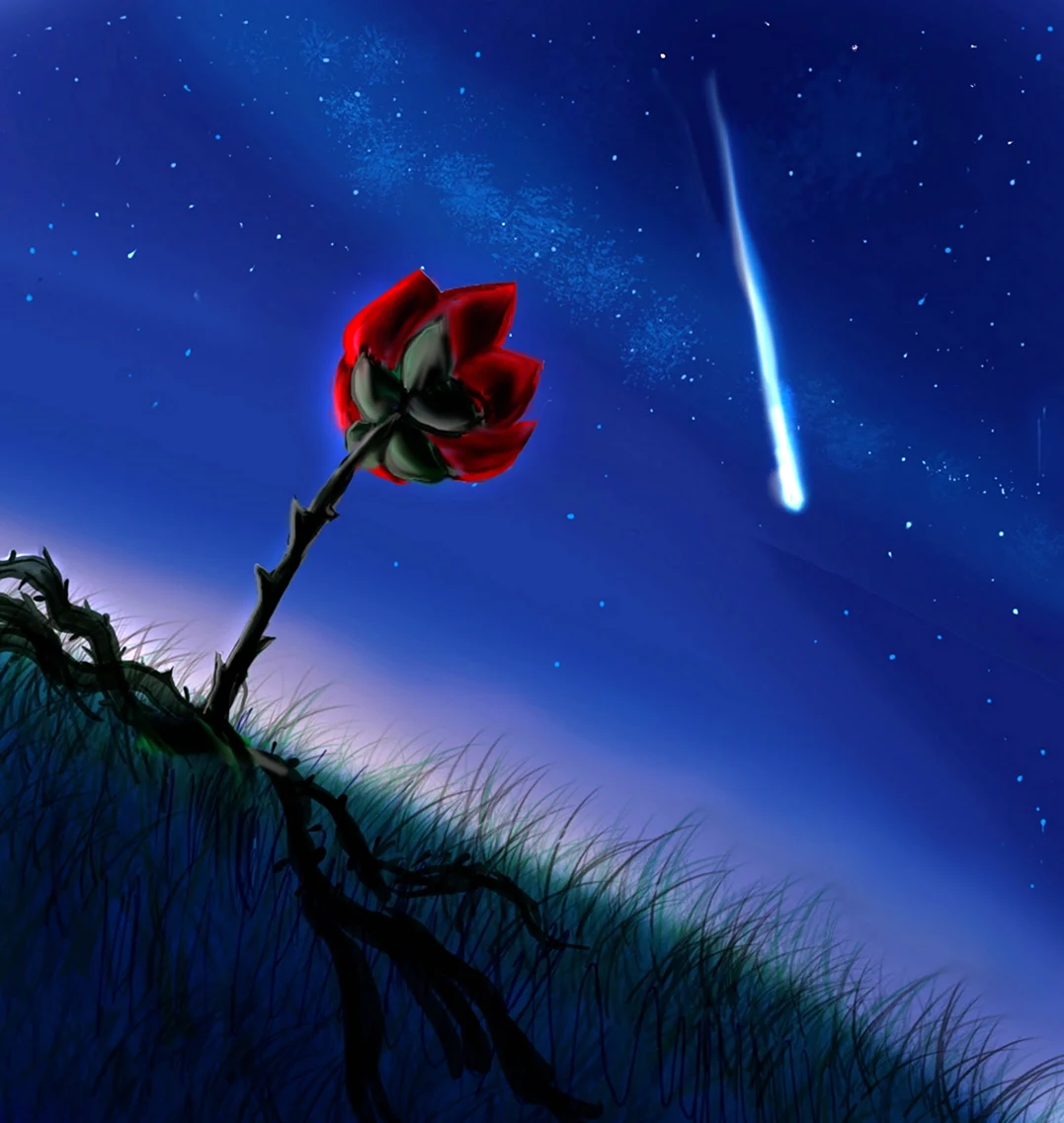 Звёзды ночь роза