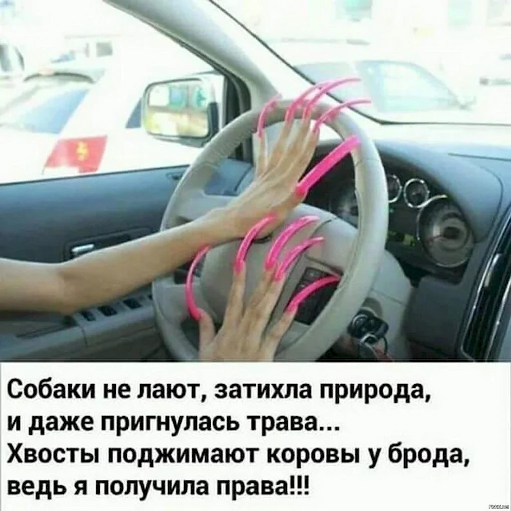 Анекдоты про вождение автомобиля