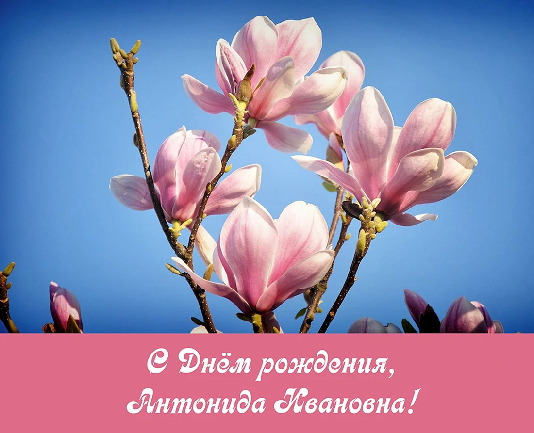 Антонида с днем рождения