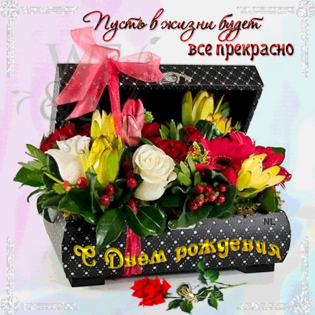 Ася с днем рождения