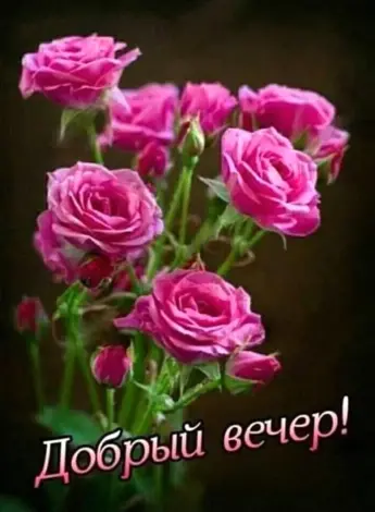 Букет добрый вечер