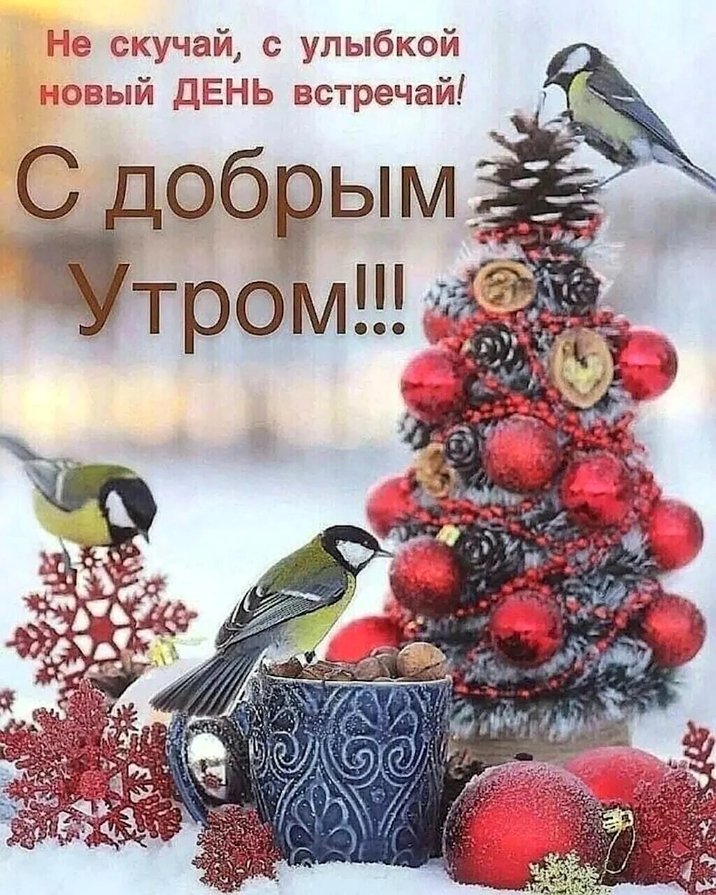 C добрым рождественскийэм утром