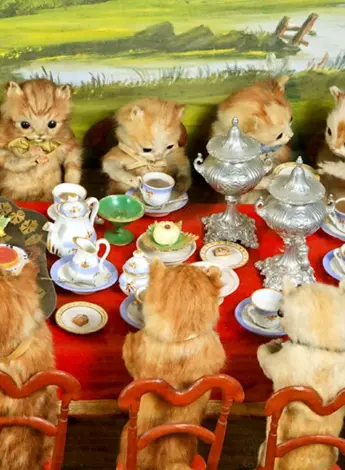 Чаепитие котят
