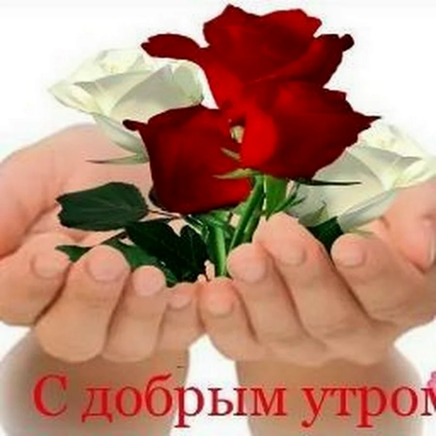 Чтоб сердце не стало калекой