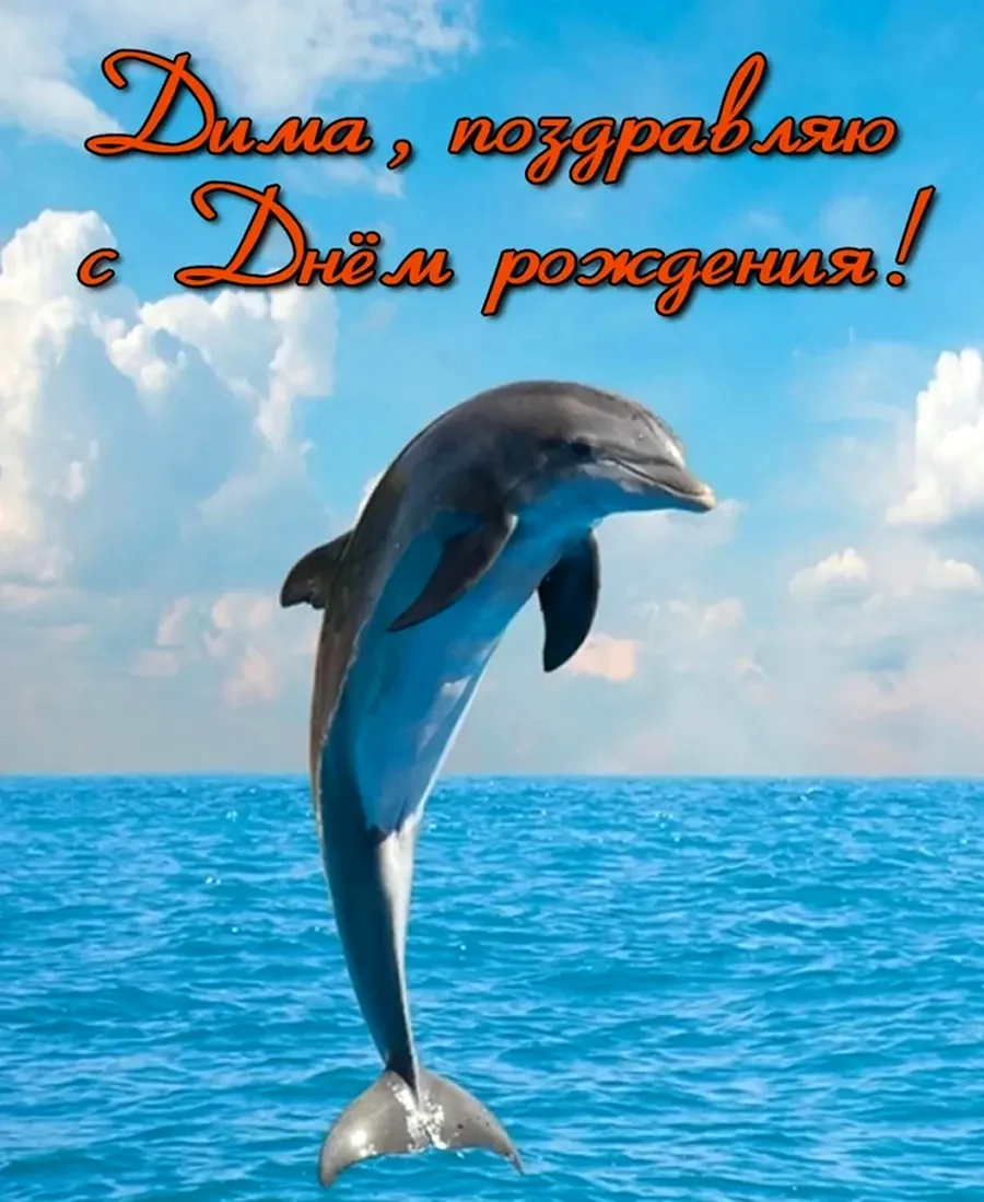 Дельфины