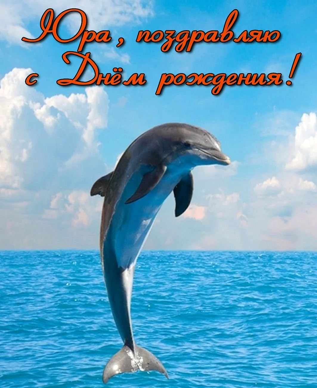 Дельфины