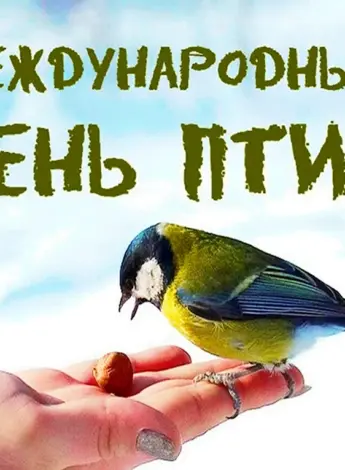 День птиц