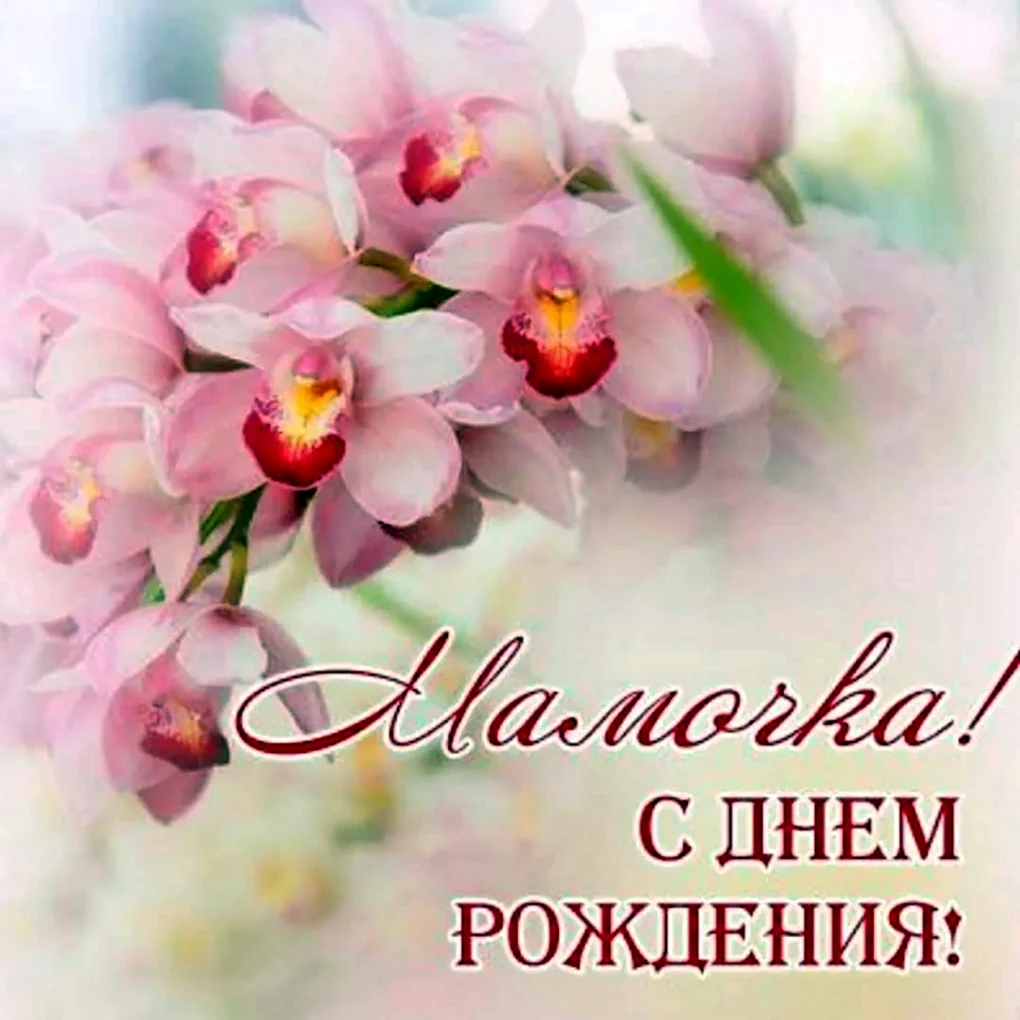 День рождения мамы