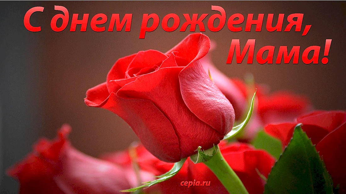 День рождения мамы